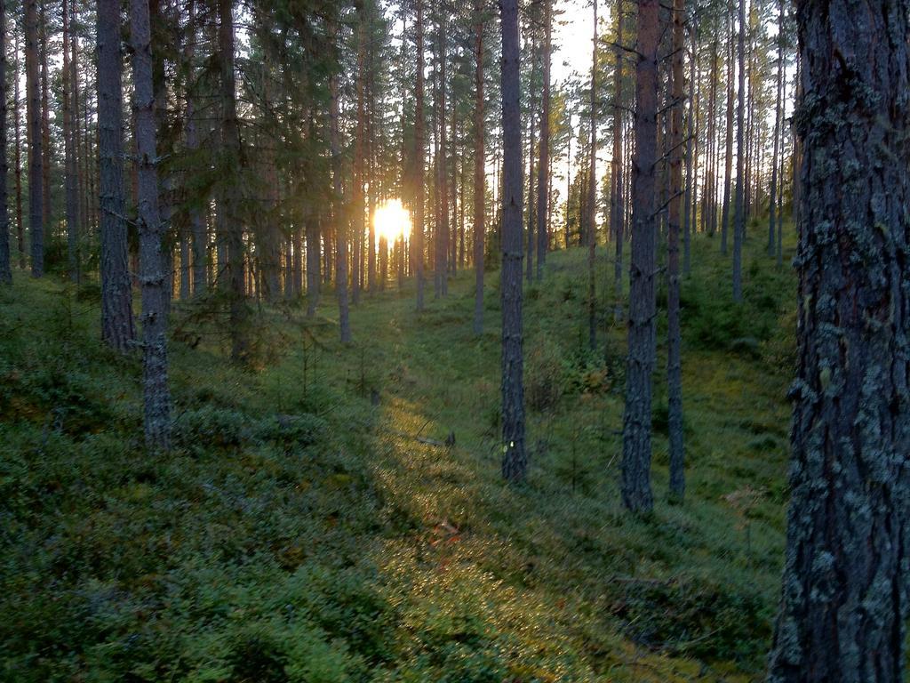 Rustika Strandstugor Utanfoer Raettvik Exterior photo